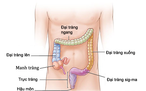 5 dấu hiệu báo động bạn bị ung thư đại trực tràng