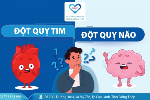 Sự khác biệt giữa đột quỵ não và đột quỵ tim