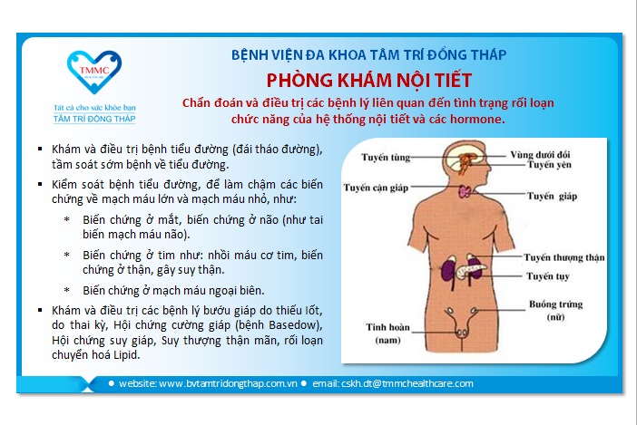 Những bệnh nội tiết có thể bạn mắc bệnh mà không biết