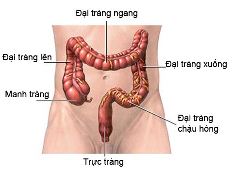 5 dấu hiệu ung thư đại trực tràng nhiều người thường vô tình bỏ qua
