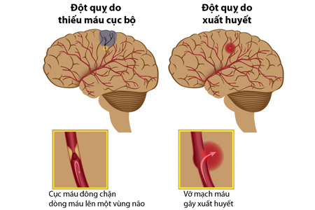 dot-quy-1