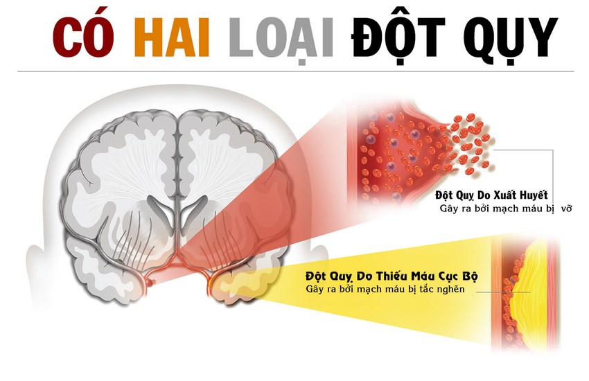 dot-quy-3