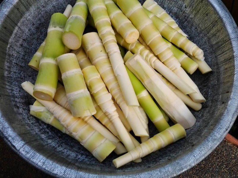 mang-tuoi