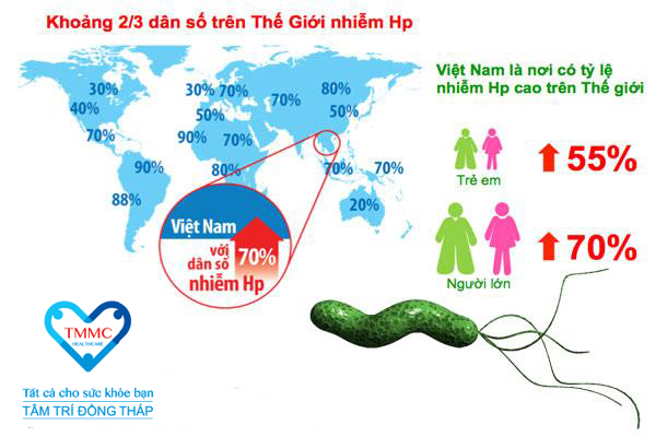 Viêm loét dạ dày do vi khuẩn HP