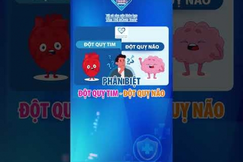 Sự khác biệt giữa đột quỵ não và đột quỵ tim