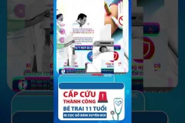 Tâm Trí Đồng Tháp cấp cứu thành công bé trai bị cọc gỗ đâm xuyên đùi